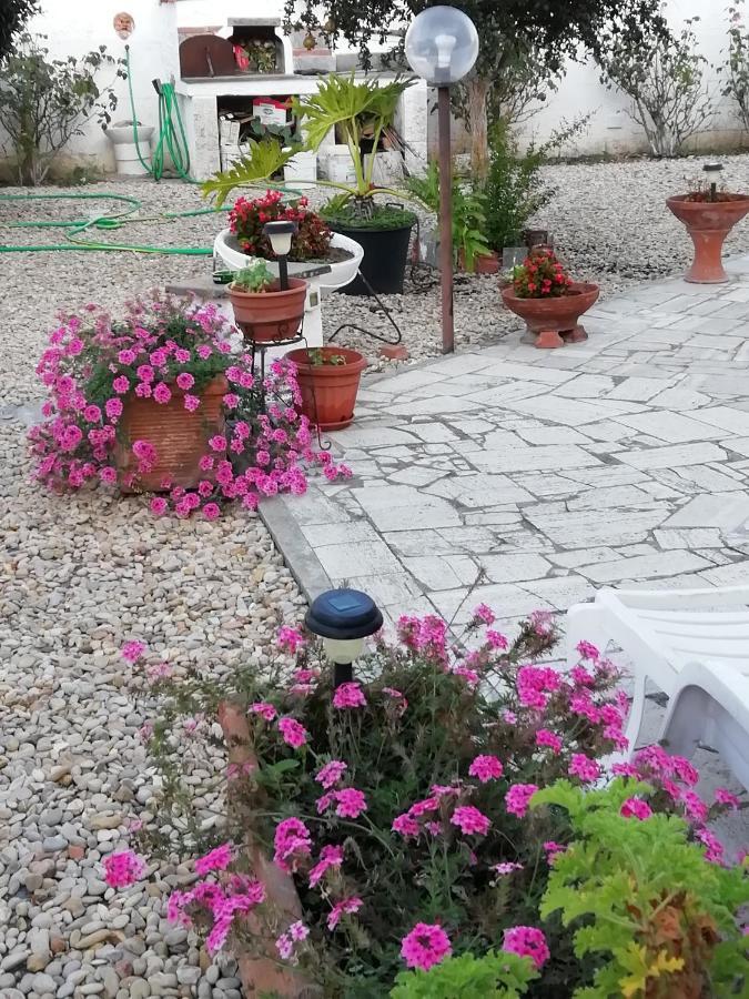 Bed & Breakfast Claudia
